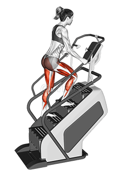 Thumbnail for the video of exercise: Walking on Stepmill