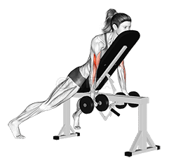 Dumbbell Prone Incline Curl demonstration
