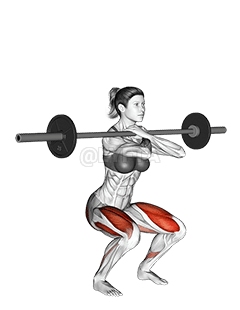 바벨 프론트 스쿼트 demonstration