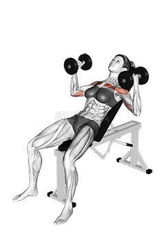 啞鈴上斜錘推舉 demonstration