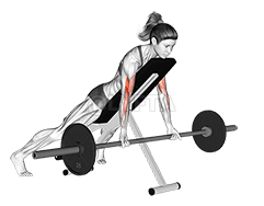 Barbell Prone Incline Curl demonstration