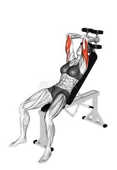 Dumbbell Incline Triceps Extension demonstration