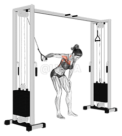 ケーブル 1 つのアームを横方向に曲げる demonstration