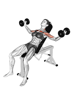 Mosca inclinada com halteres demonstration