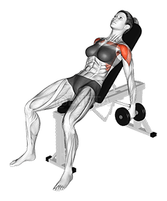 Подъем гантели на наклонной скамье demonstration