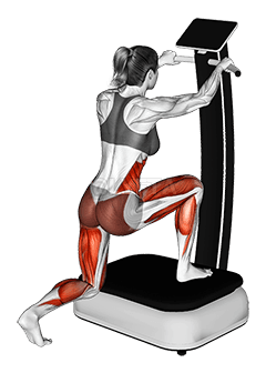 Vibreer Plaat Lunge demonstration