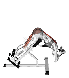 Thumbnail for the video of exercise: Hyperextension