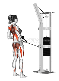 Rangée de squats par câble demonstration