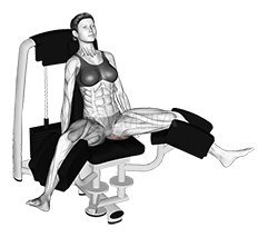 레버 장착 고관절 내전 demonstration