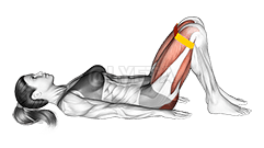 阻力带臀桥 demonstration