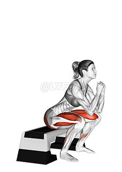Thumbnail for the video of exercise: Bench Full Squat