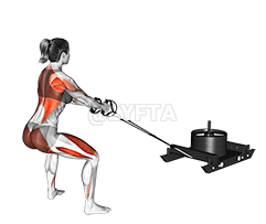 Fila de tracción con trineo eléctrico demonstration