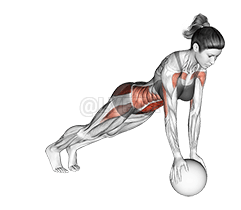 Thumbnail for the video of exercise: Jack Plank on Medicine Ball