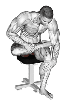 Estiramiento del piriforme sentado demonstration