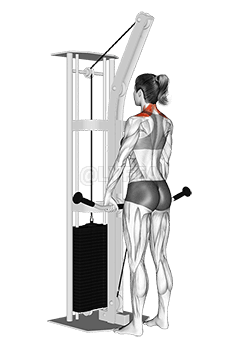 Coprispalle per cavi demonstration