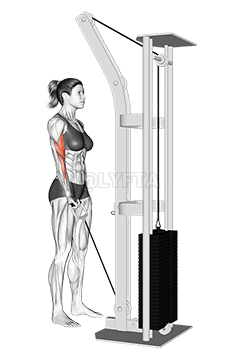 केबल वन आर्म कर्ल demonstration