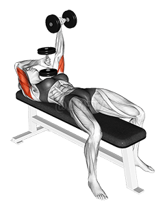 Síneadh Dumbbell Luing demonstration