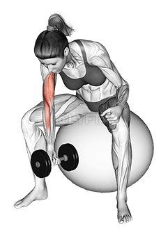 Thumbnail for the video of exercise: Концентрирано сгъване с една ръка с дъмбел