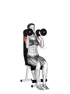 Presse à épaules assise avec haltères demonstration