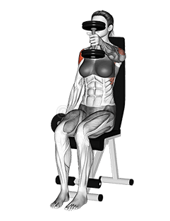 Hantel sëtzt Alternativ Front Erhéijung demonstration