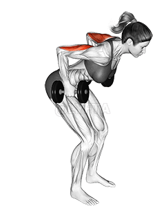 Kurzhantel-Rückschlag im Stehen demonstration