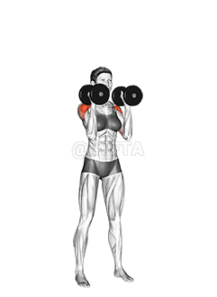 Haltères debout, paumes sous presse demonstration