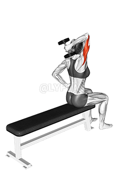 Дамббелл нэг гар трицепс өргөтгөл demonstration