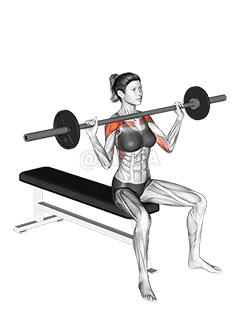 Presse aérienne assise avec haltères demonstration