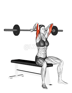 Extension des triceps au-dessus de la tête avec haltères demonstration