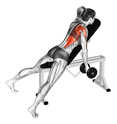 Thumbnail for the video of exercise: ডাম্বল ৰিভাৰ্ছ গ্ৰীপ হেলনীয়া বেঞ্চ ৱান আৰ্ম ৰো