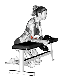 Haltère sur banc, curl de poignet neutre à un bras demonstration