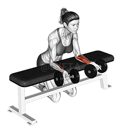 Haltere sobre o banco inverte a curvatura do pulso demonstration