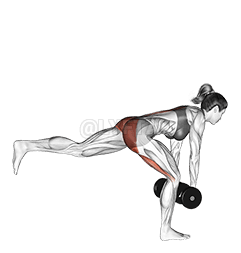 ダンベルシングルレッグデッドリフト demonstration