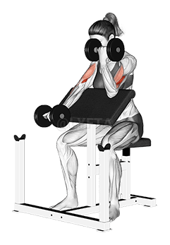 Alternate Preacher Curl mit Kurzhanteln demonstration