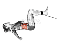 Cable Reverse Crunch demonstration