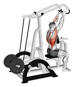 Lever High Row demonstration