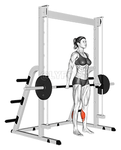 Smith reverzno podizanje teladi demonstration