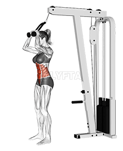 ケーブルスタンディングクランチ demonstration