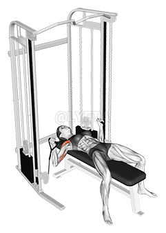 Thumbnail for the video of exercise: Cable Bench Press