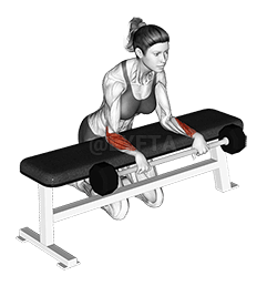 Barbell Palmas Abajo Muñeca Curl Peteĩ Banco ári demonstration