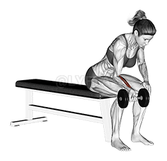 Haltère, un bras, curl du poignet demonstration