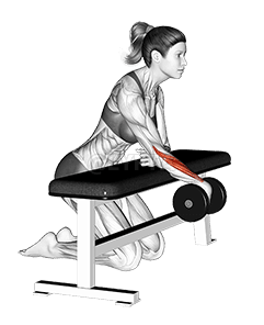 Dumbbell Over Bench One Arm Wrist Curl demonstration