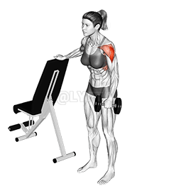 Angkat Sisi Dumbbell Satu Lengan demonstration