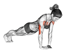 Diamond Push up demonstration