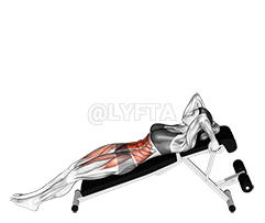 شیب بالا بردن هیپ پا demonstration