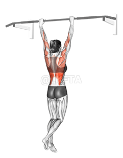 Rocky Hehe Yi Dzi Pulldown demonstration