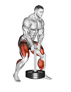 Thumbnail for the video of exercise: StrongMan Duck Walk