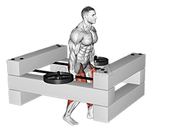 Thumbnail for the video of exercise: StrongMan Timber Carry