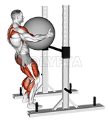 Thumbnail for the video of exercise: StrongMan Hood Stones