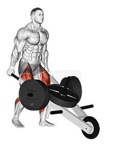 Carriola dell'Uomo Forte demonstration